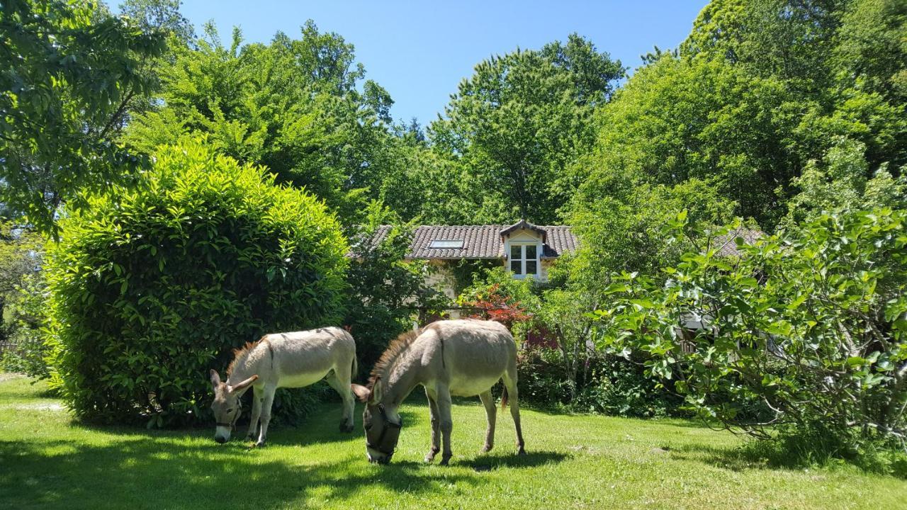 Le Moulin De Pensol - Gites Exterior photo